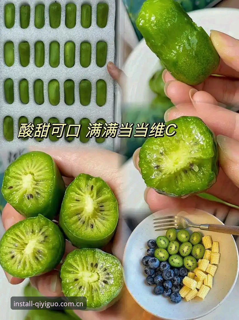 奇异果体育下载地址手机版 奇异果体育下载地址手机版实用指南:新手必备操作技巧